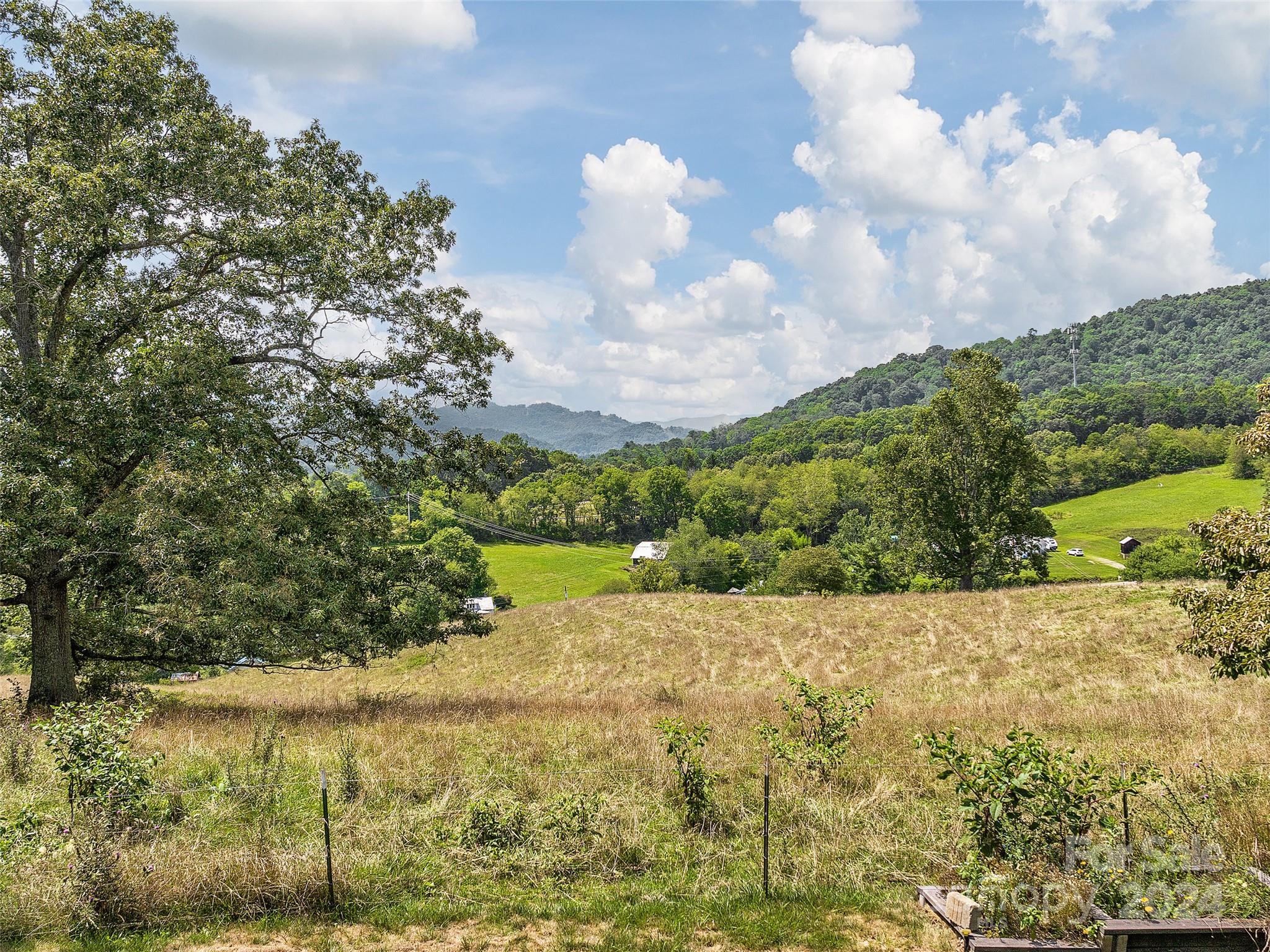 584 Oak Ridge Drive