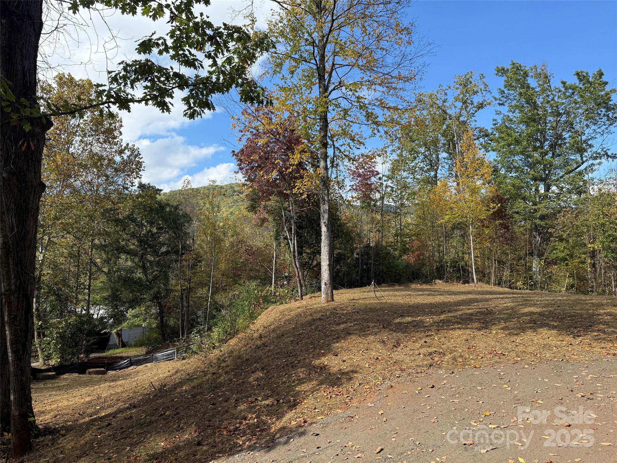00 Hemlock Loop