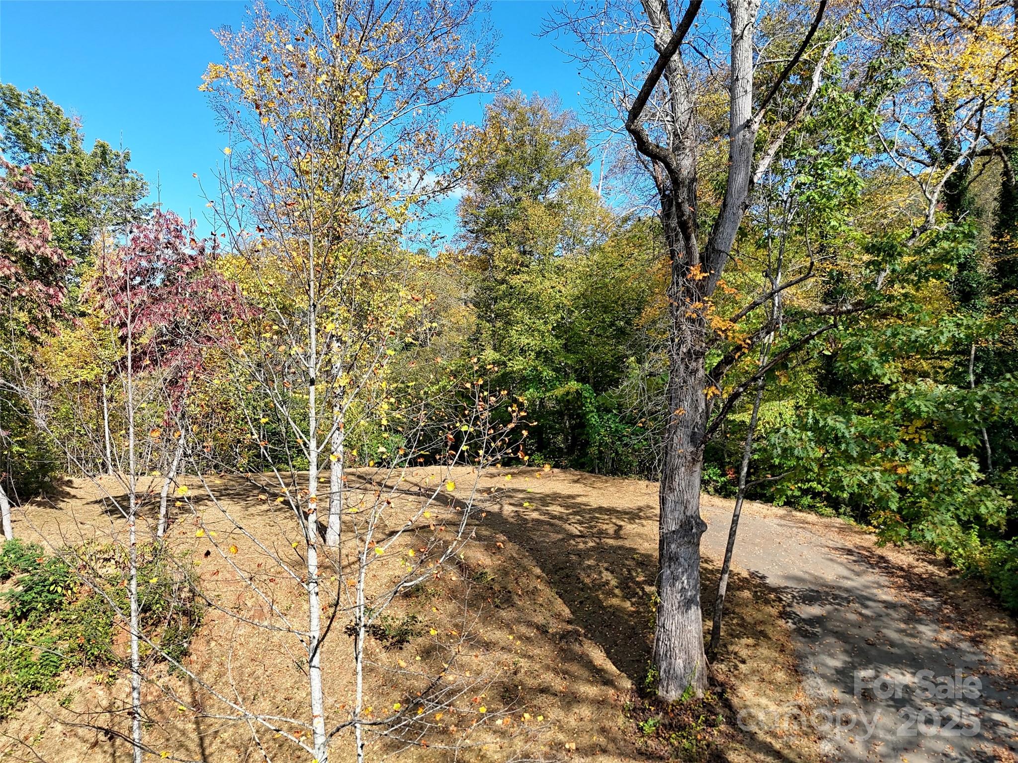 00 Hemlock Loop