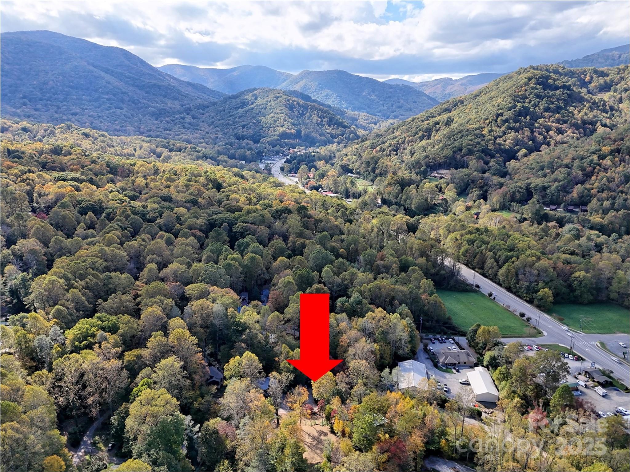00 Hemlock Loop