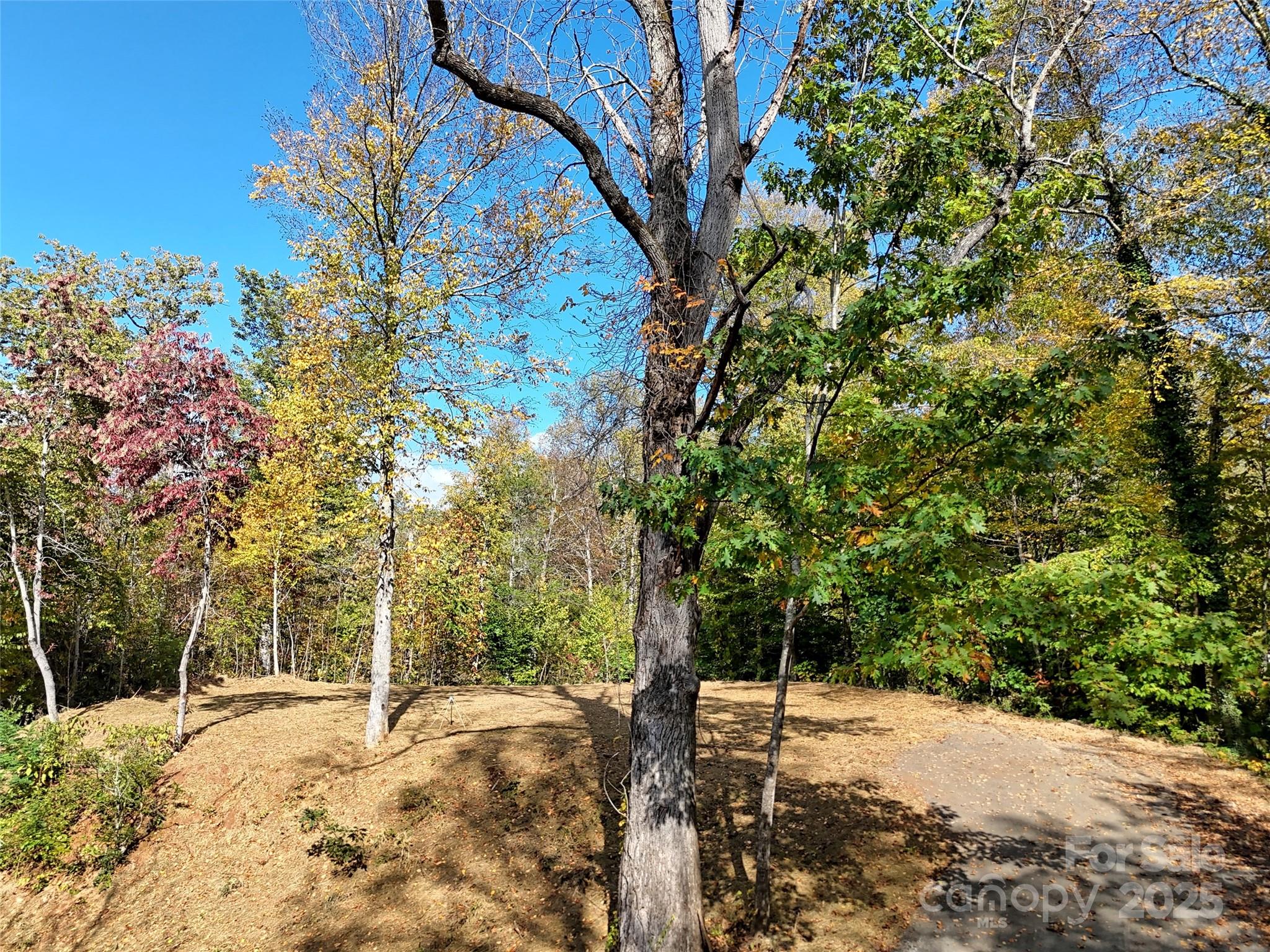 00 Hemlock Loop