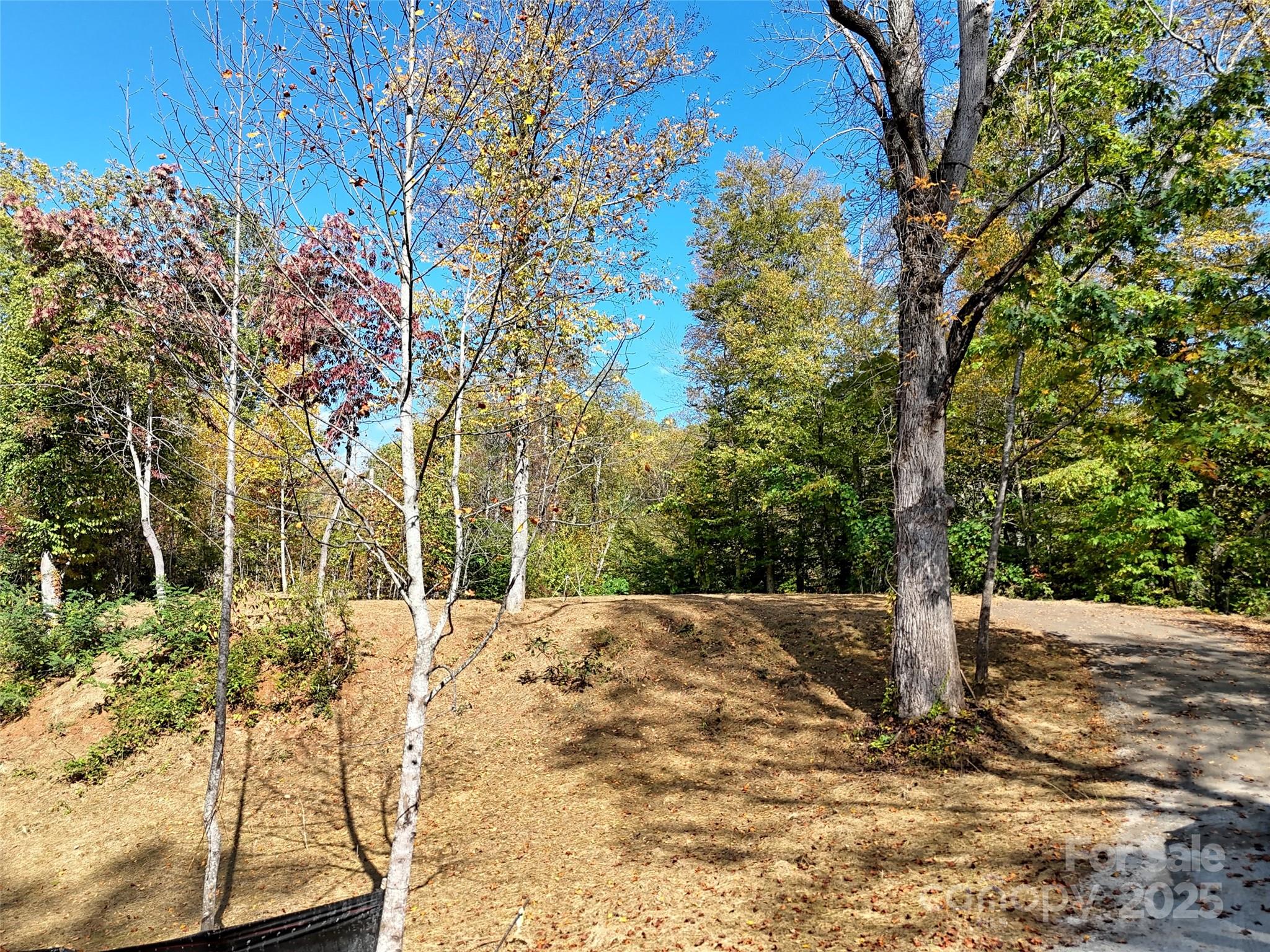 00 Hemlock Loop