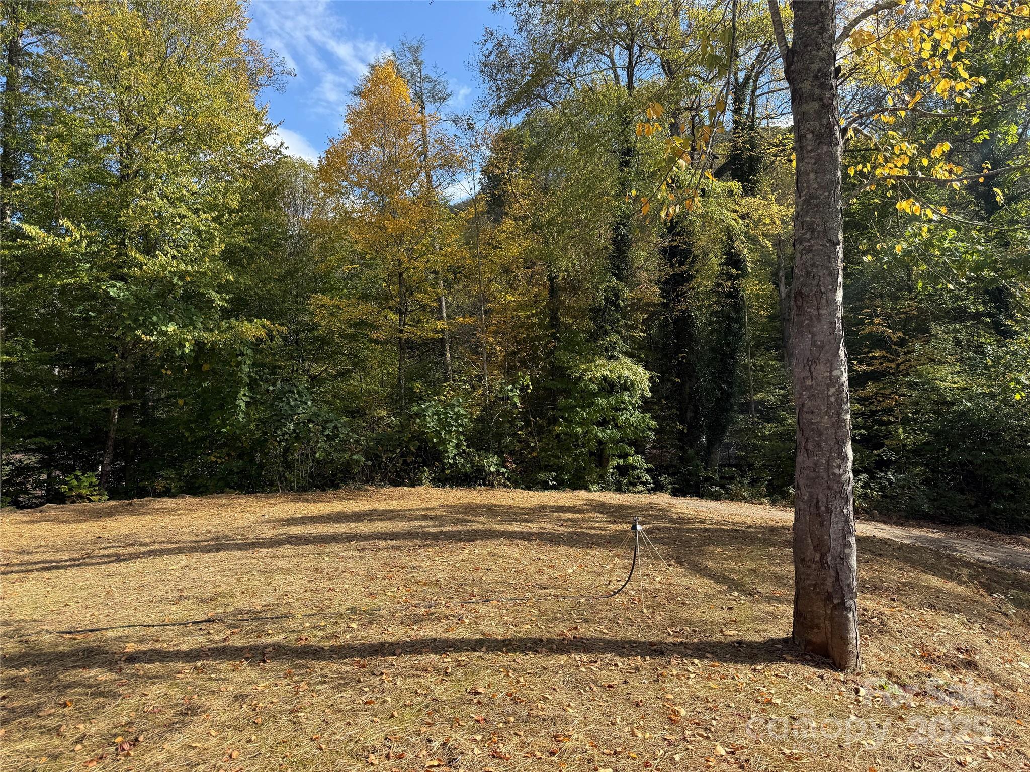 00 Hemlock Loop