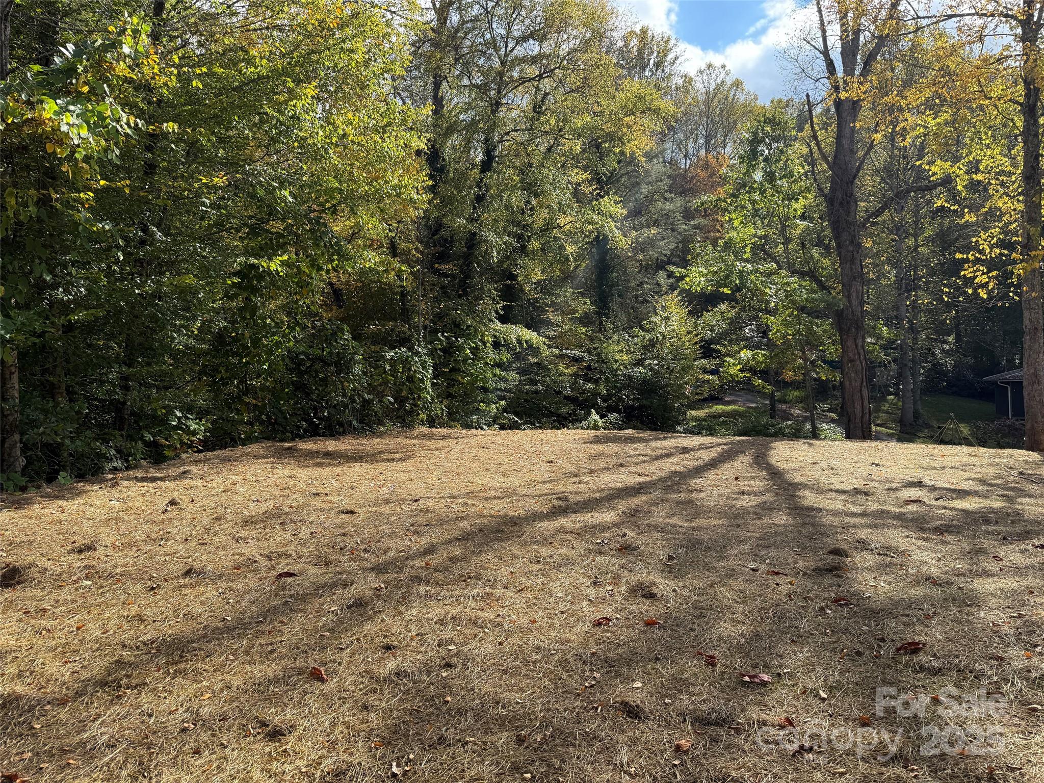 00 Hemlock Loop