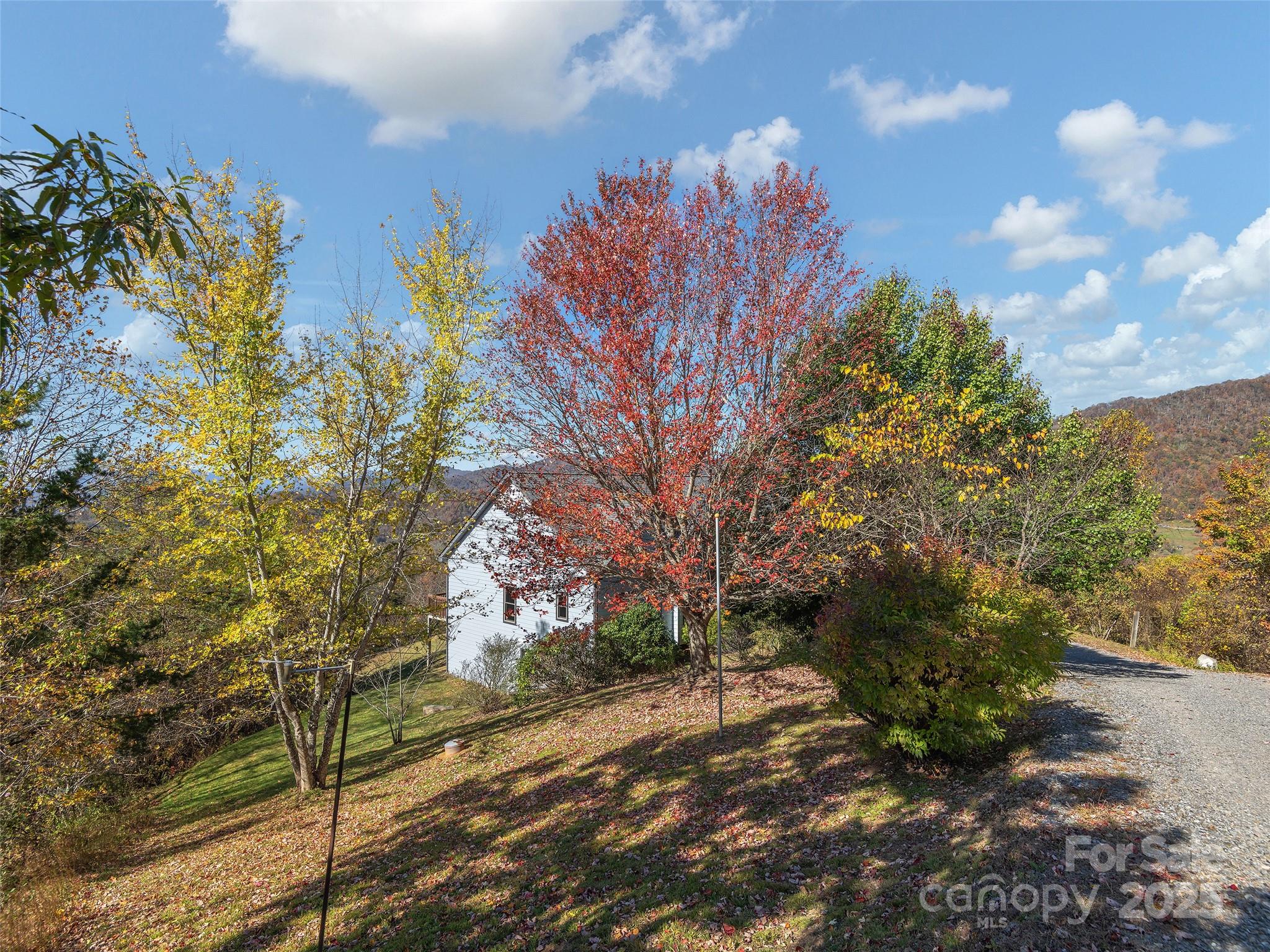 71 Crow Lane