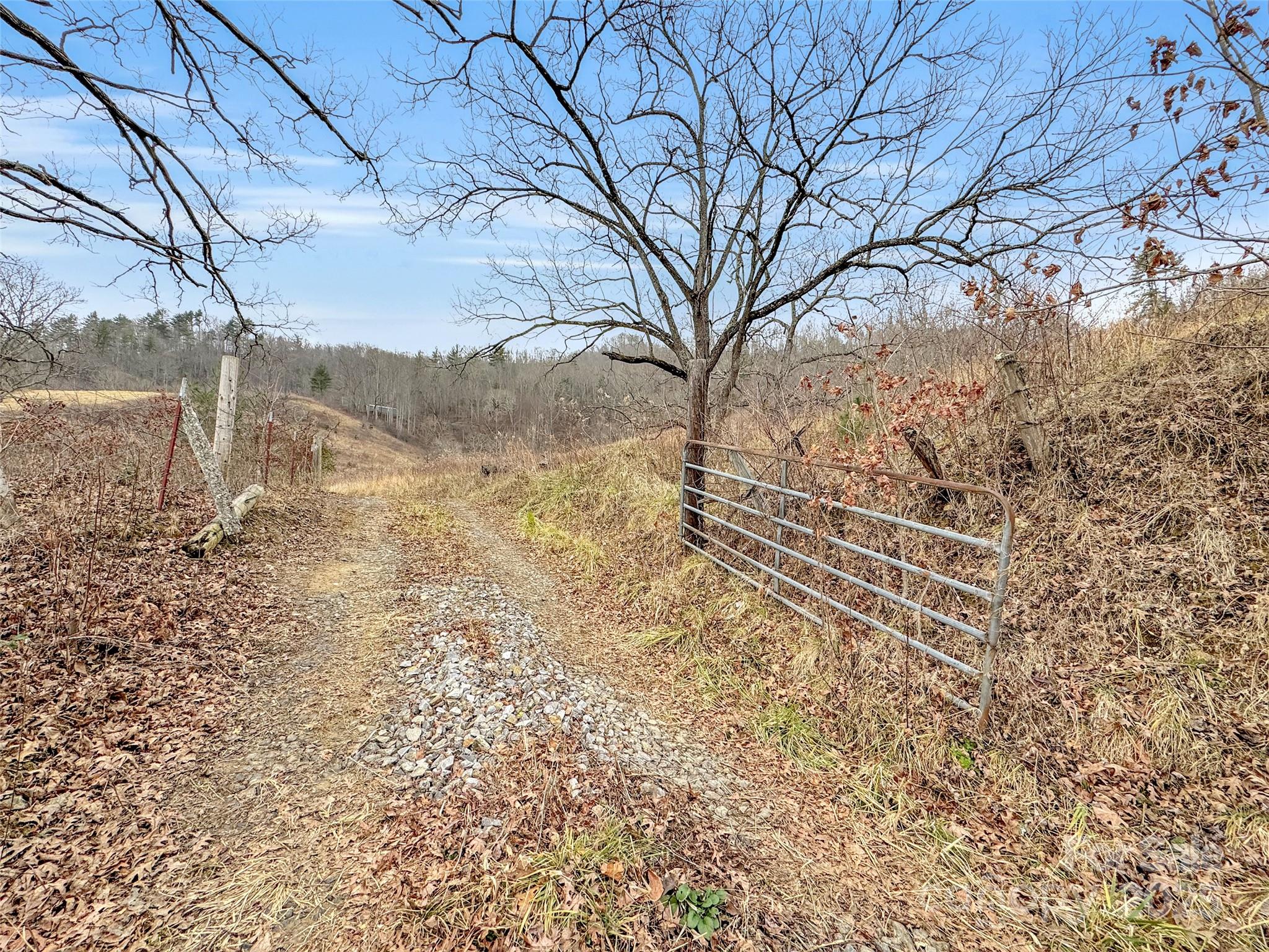 89 Kirkpatrick Cove