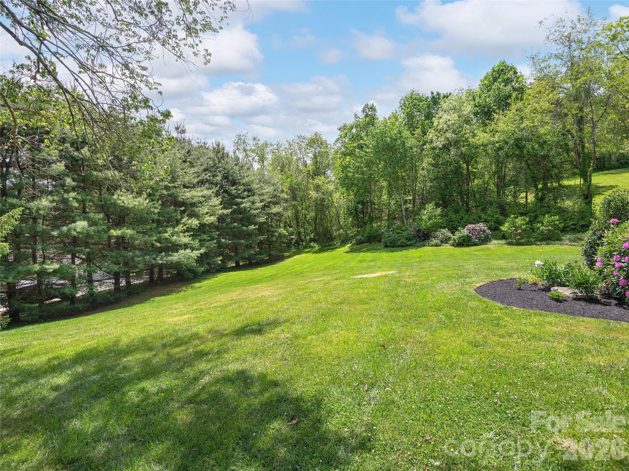 224 Hydrangea Drive