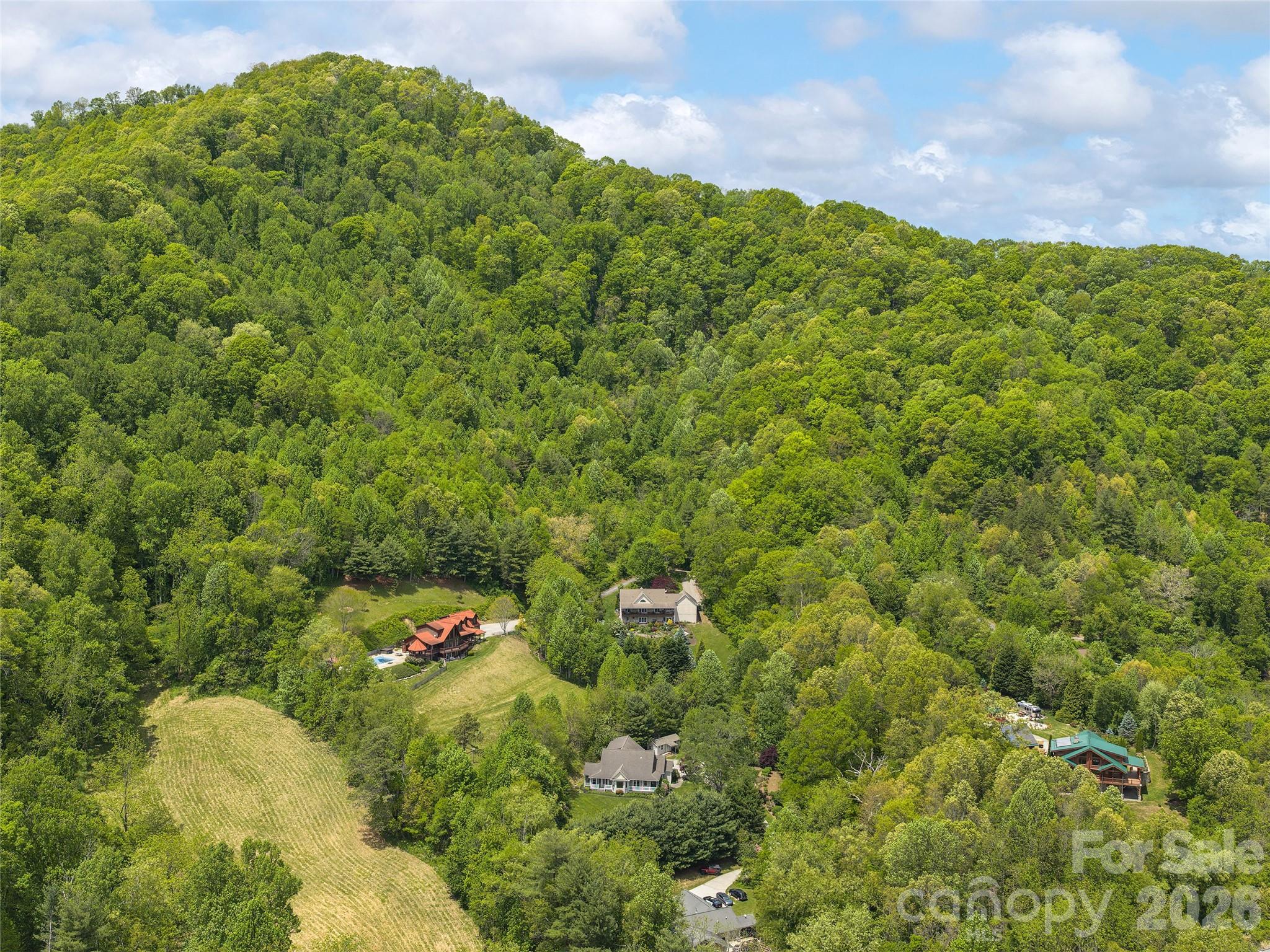 224 Hydrangea Drive