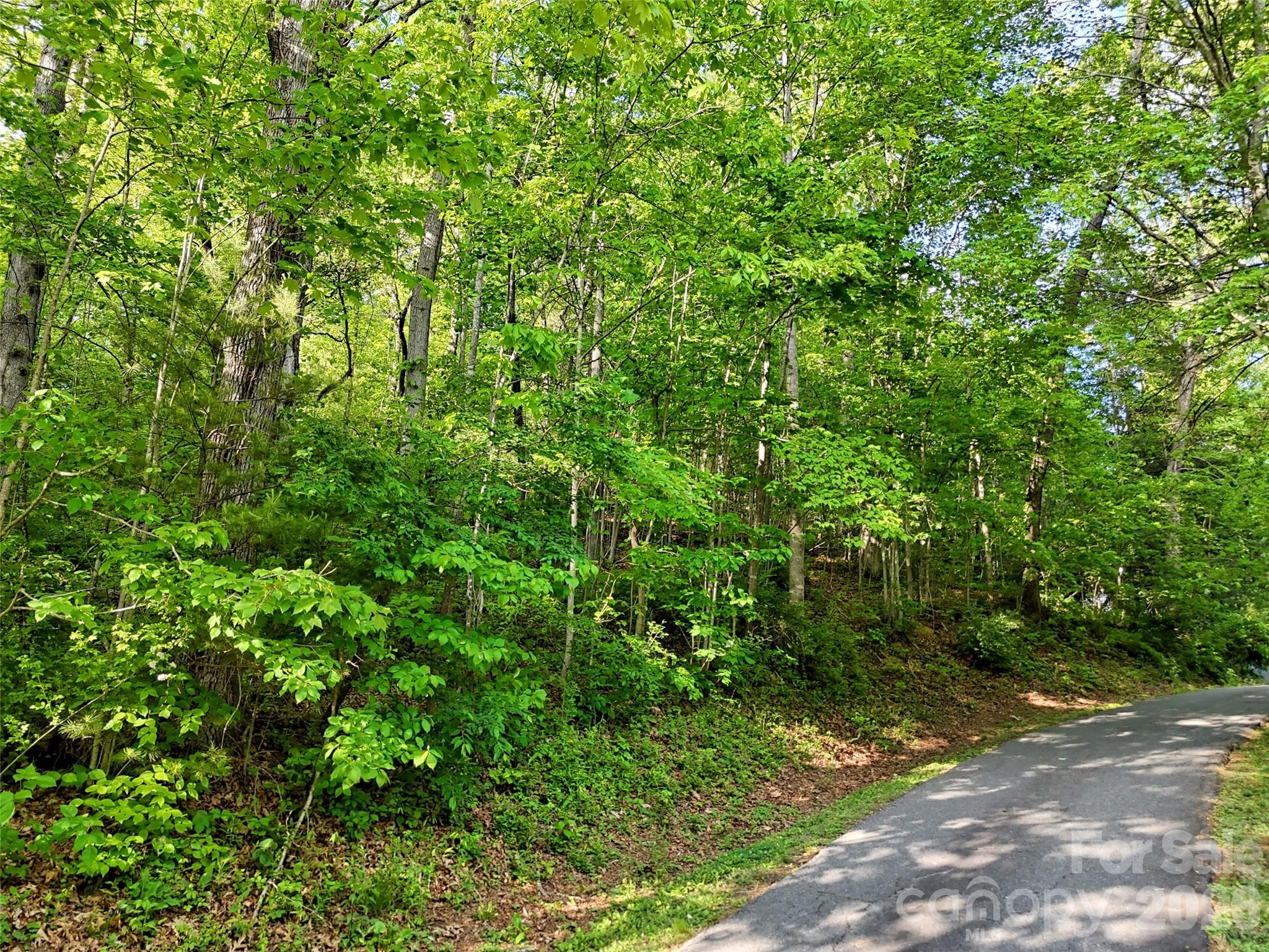 00 Junaluska Oaks Drive