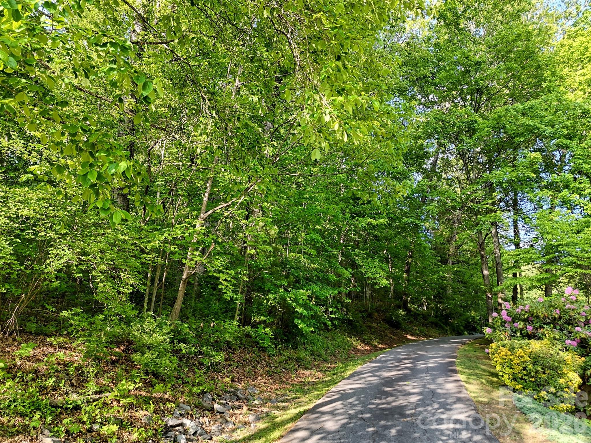 00 Junaluska Oaks Drive