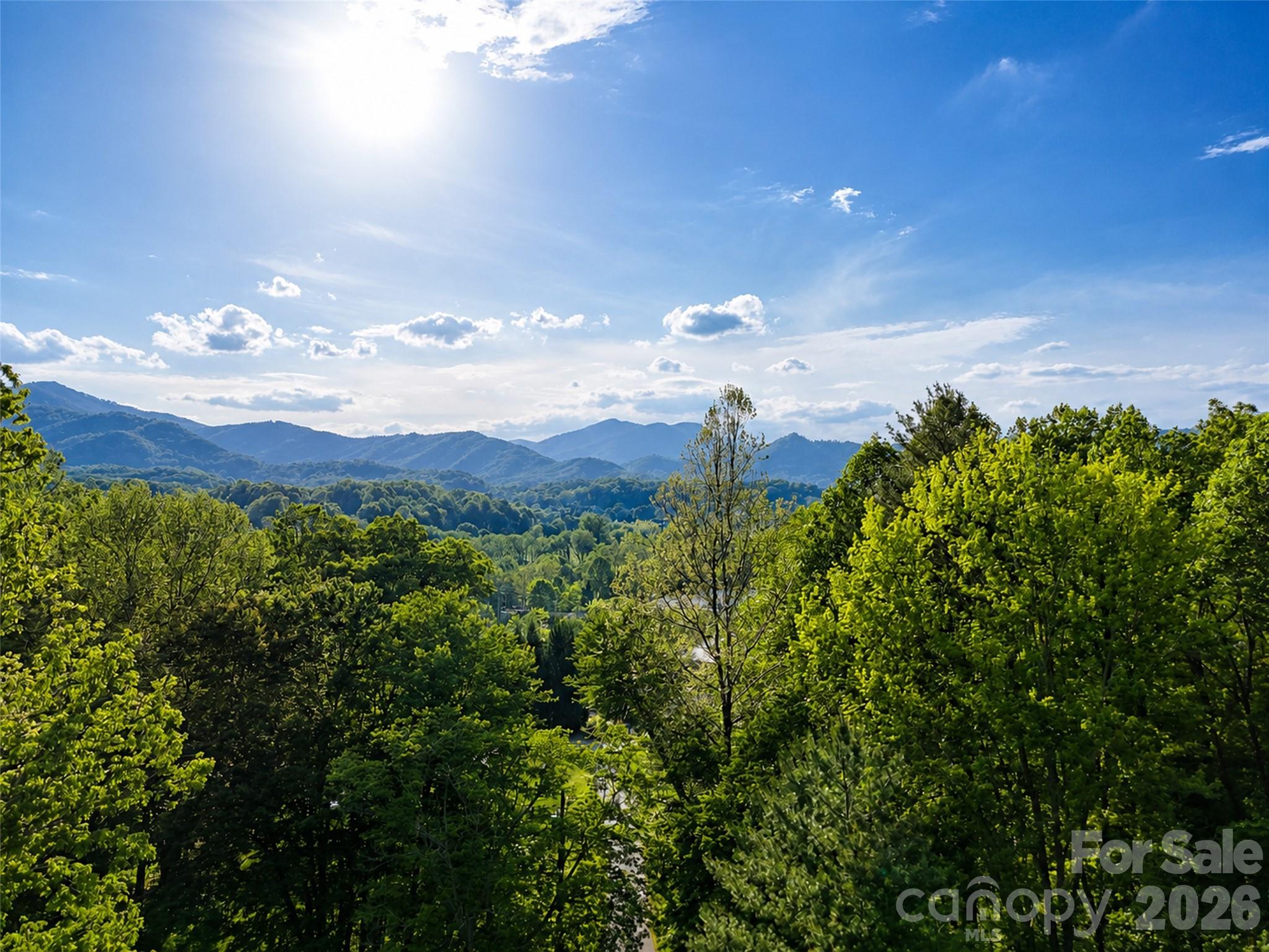 00 Junaluska Oaks Drive