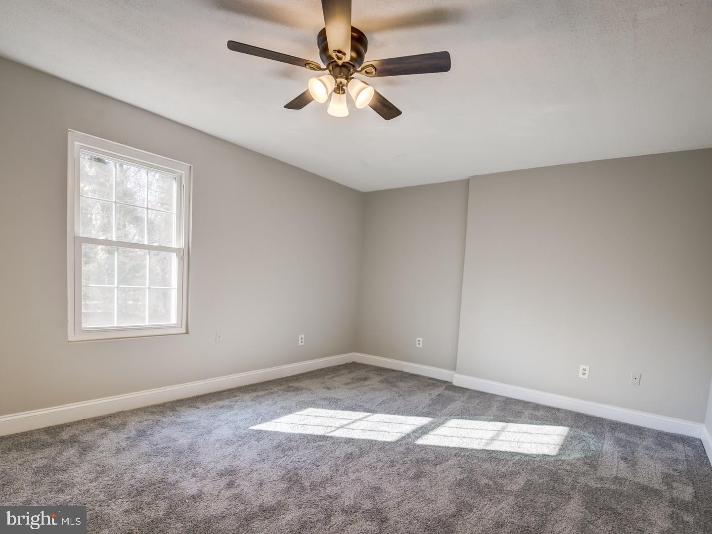 Empty bedroom with gray carpet, a single window, and an illuminated ceiling fan.