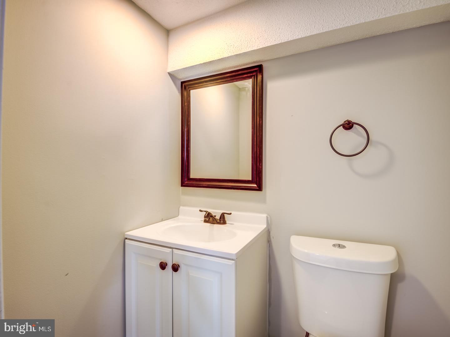 Bathroom with a white vanity and toilet, framed mirror, and bronze fixtures.