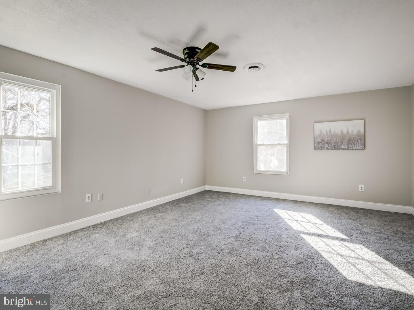 Empty bedroom with gray carpet, two windows, and a ceiling fan.