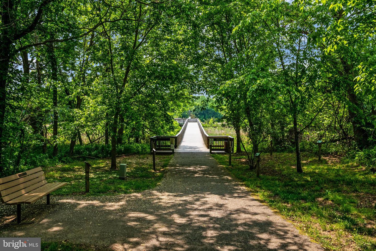 Wooded walking path leading to a raised boardwalk, with a bench and marshland beyond.