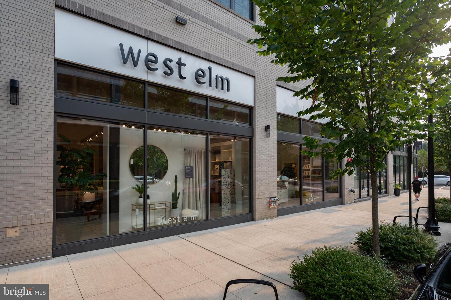 West Elm storefront in a light brick building, with large display windows and a leafy sidewalk tree.