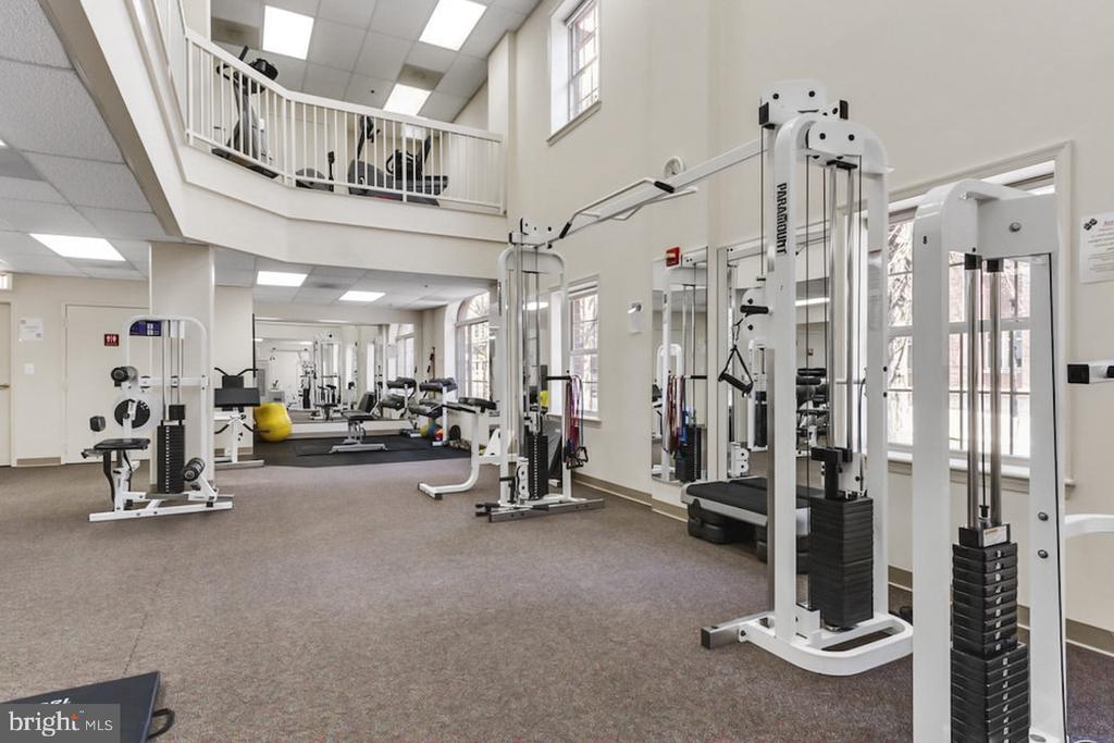 2151 JAMIESON AVENUE Unit: 1405