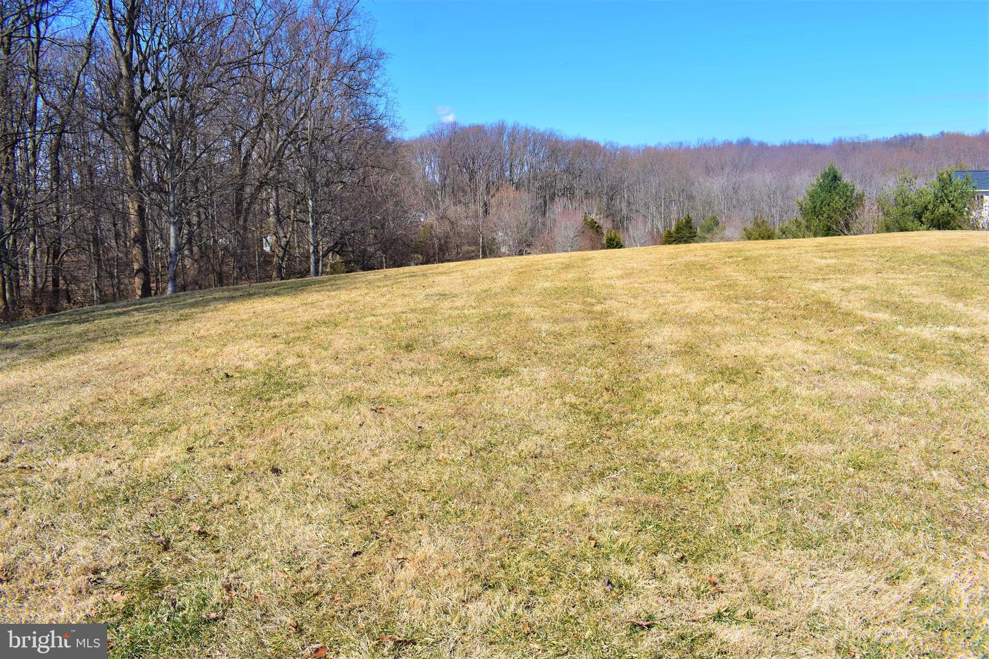 Sloping grassy lot bordered by leafless trees, with a wooded ridge in the distance.