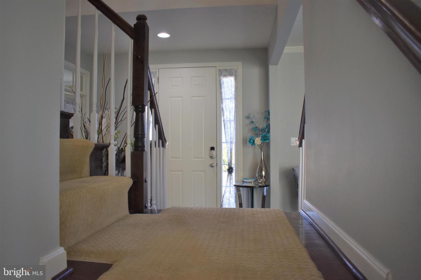 Foyer with carpeted stairs, a dark wood railing, and a white front door with sidelights.