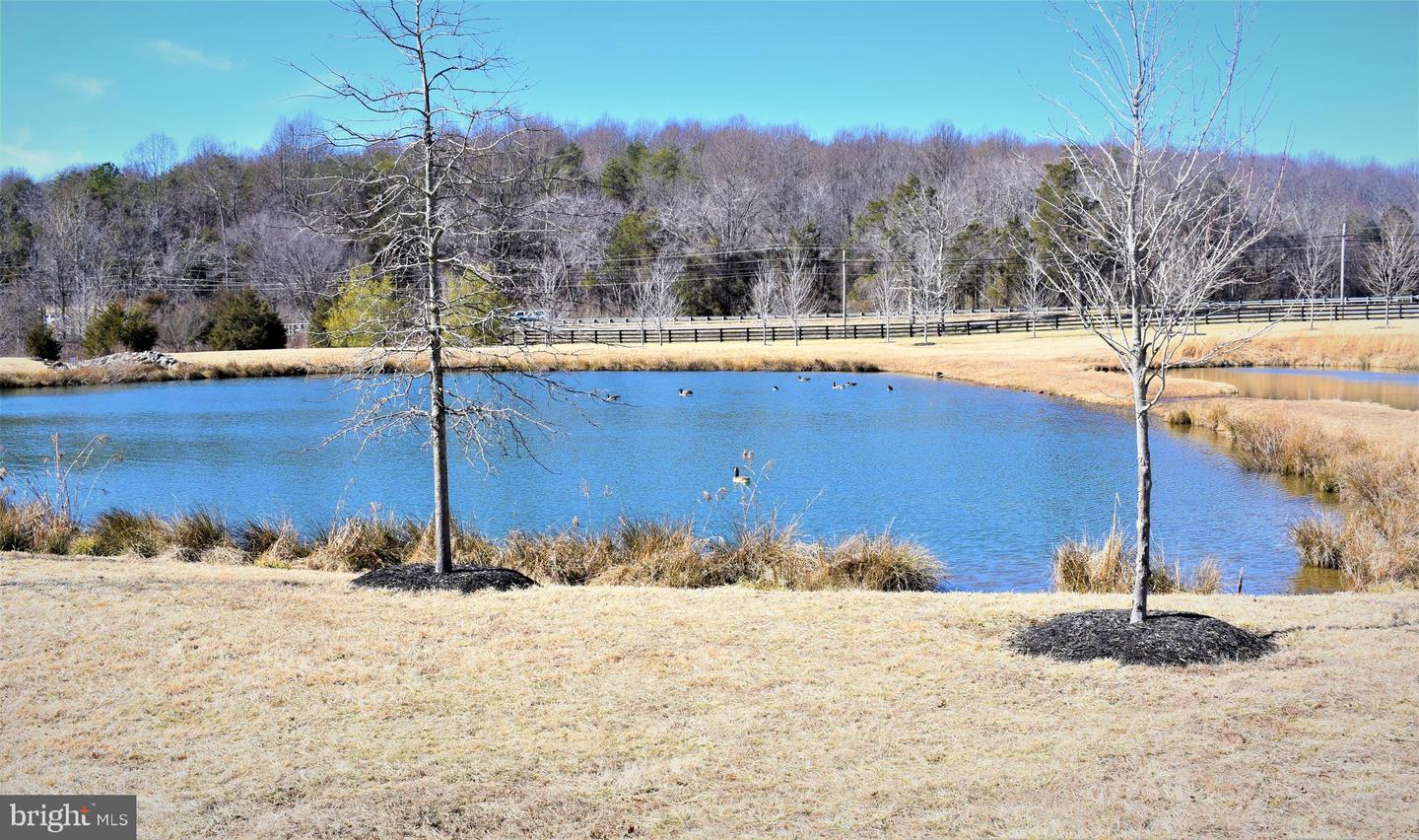 Pond with ducks, leafless trees, and a fenced field backed by wooded hills.