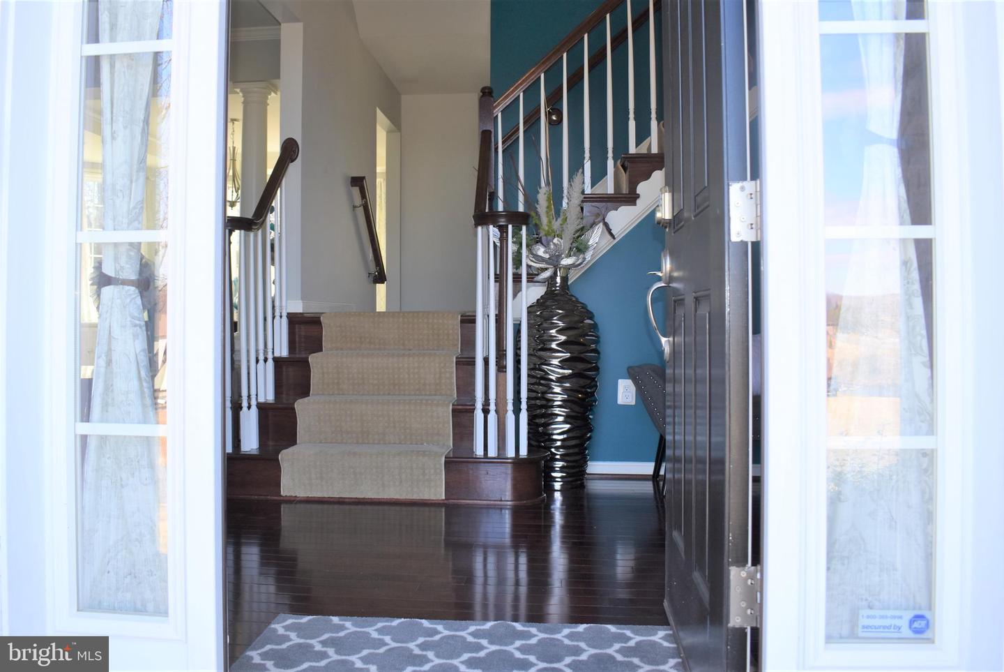 Foyer with a carpeted staircase, dark hardwood floors, and a teal accent wall.