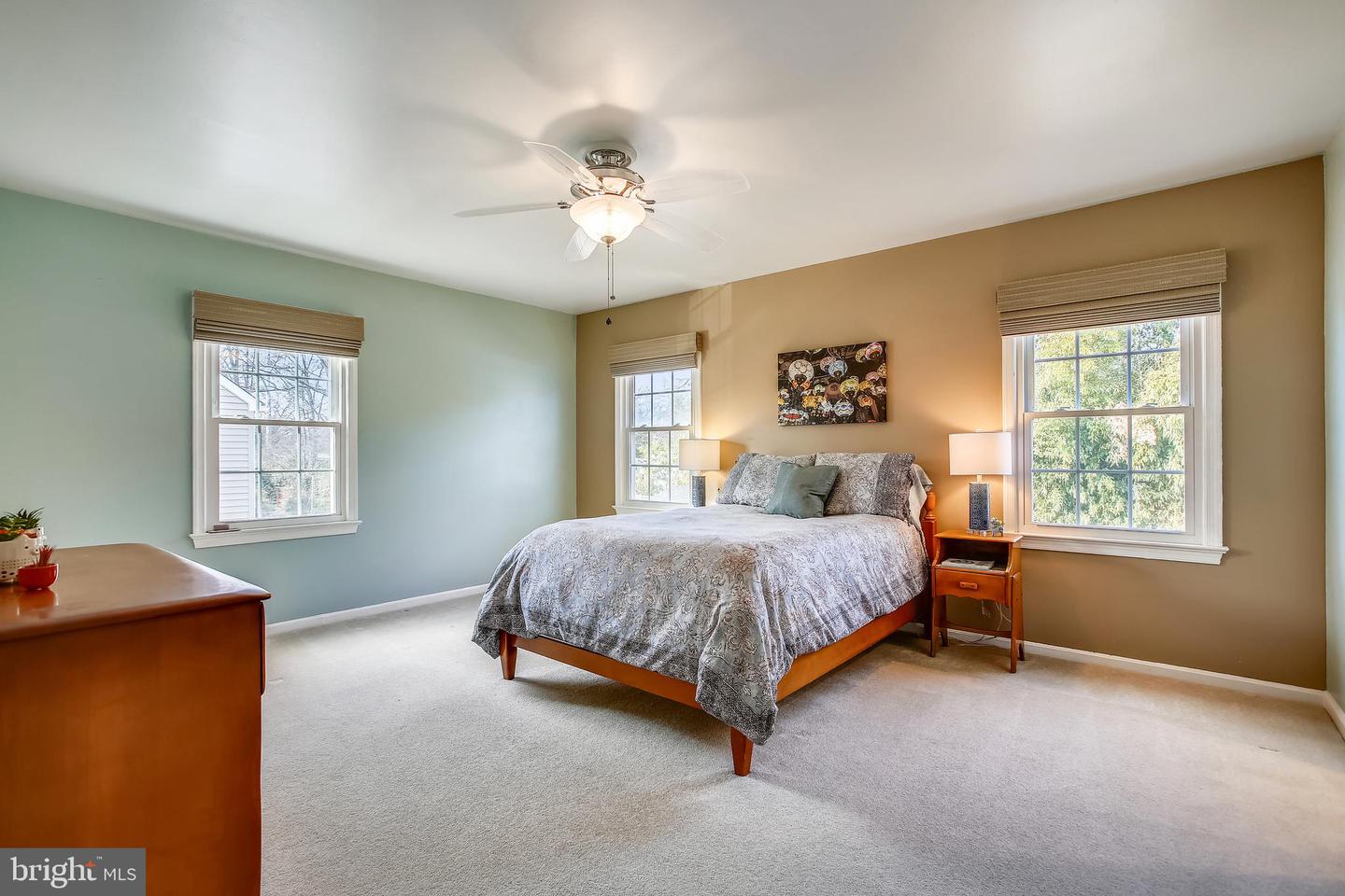 Bedroom with a large bed, blue-green accent wall, three windows, and ceiling fan.