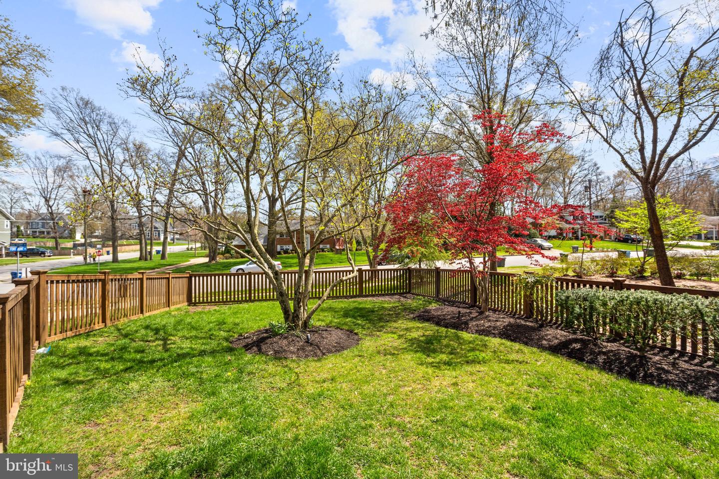 Fenced backyard with green lawn, landscaped beds, and a red-leaved ornamental tree.