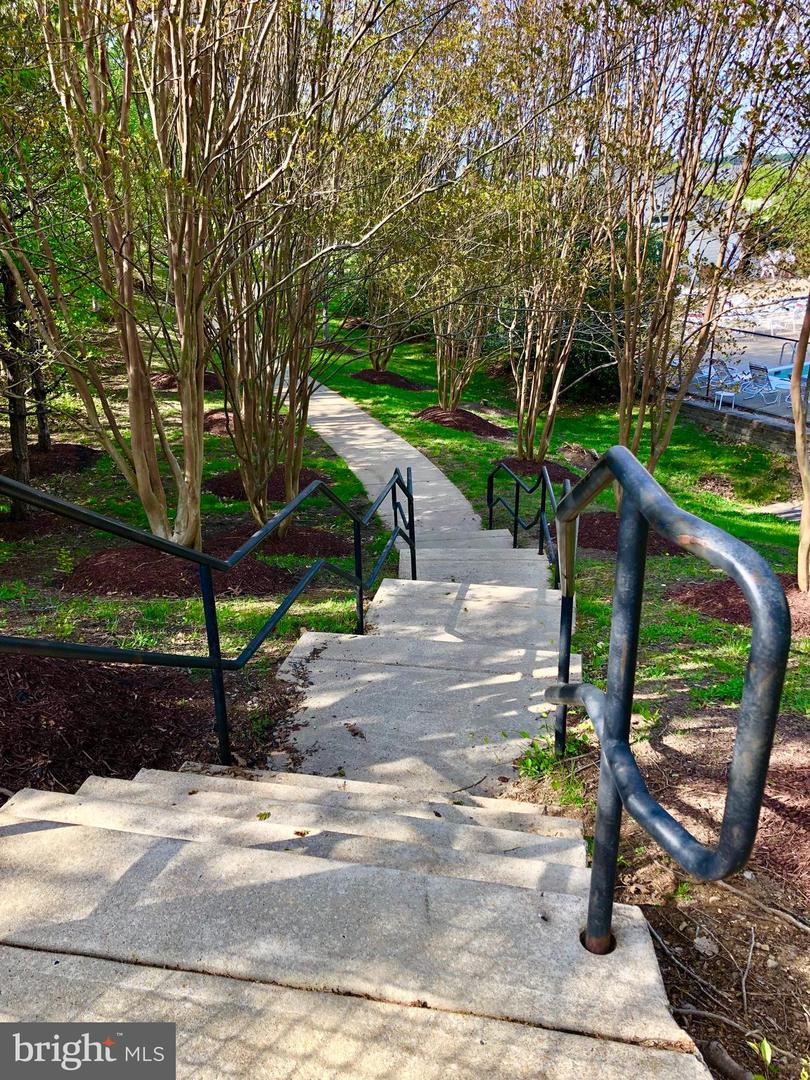 Concrete steps and railings descend through landscaped trees to a winding walkway.