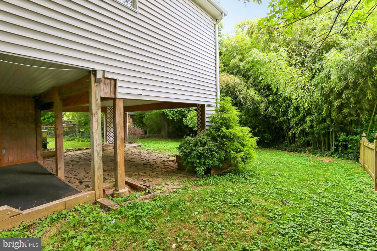 Raised house beside a stone patio, with a grassy yard and dense bamboo screen.