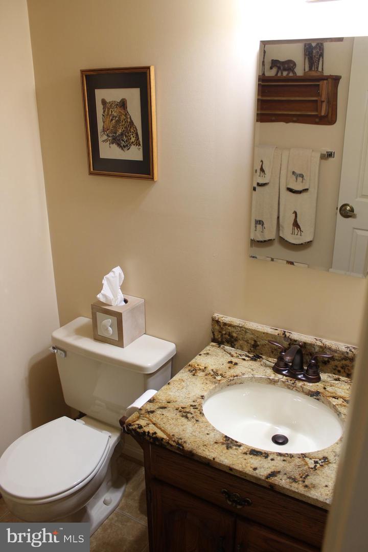 Bathroom with a granite-topped wood vanity, oval sink, and framed leopard picture.