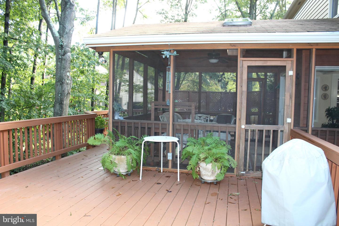 Wooden deck with potted ferns and a screened porch surrounded by mature trees.