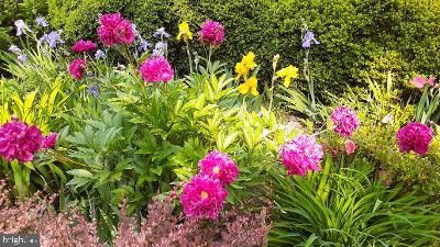 Garden bed with pink, yellow, and purple flowers surrounded by dense green foliage.