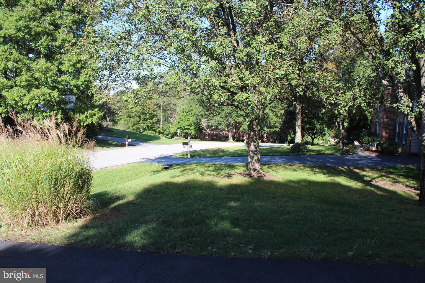 Tree-shaded front lawn beside a residential street, with ornamental grasses and a mailbox.