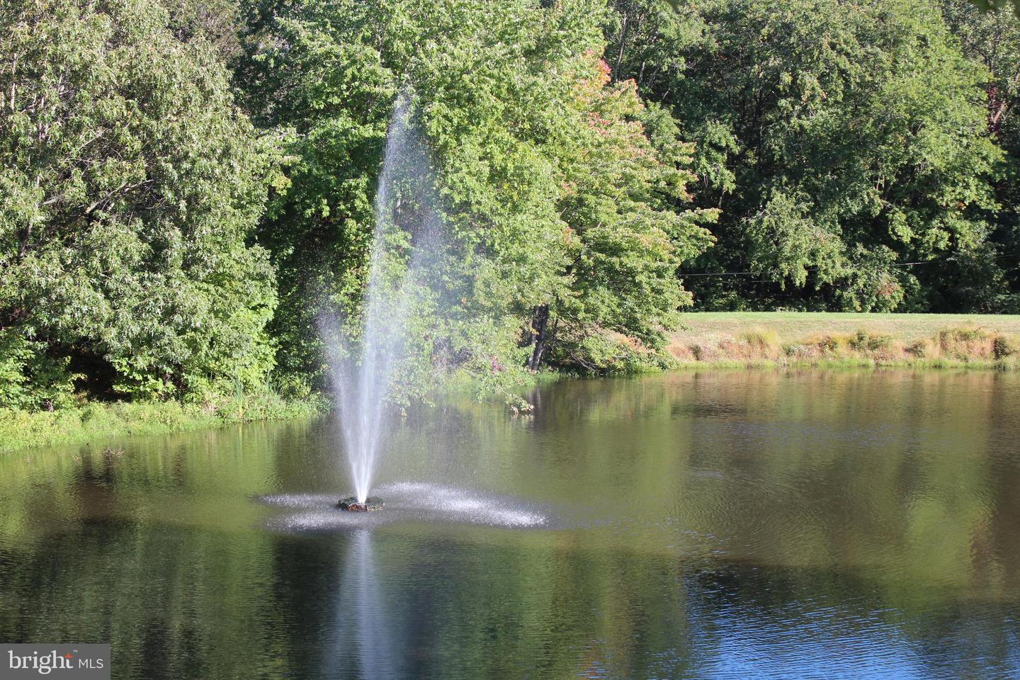Pond with a tall fountain spraying water, surrounded by leafy trees.