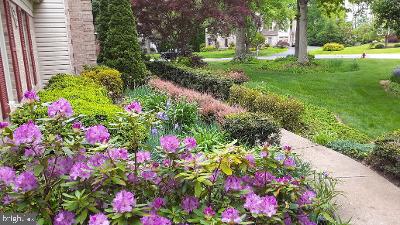 Purple azaleas and flowering shrubs line a curved walkway beside a green lawn.