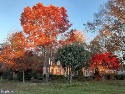 House partly screened by mature trees with vivid autumn foliage and a front lawn.