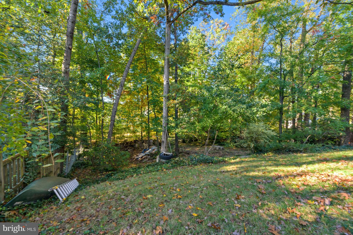 Wooded backyard with a grassy lawn, mature trees, and a tire swing.