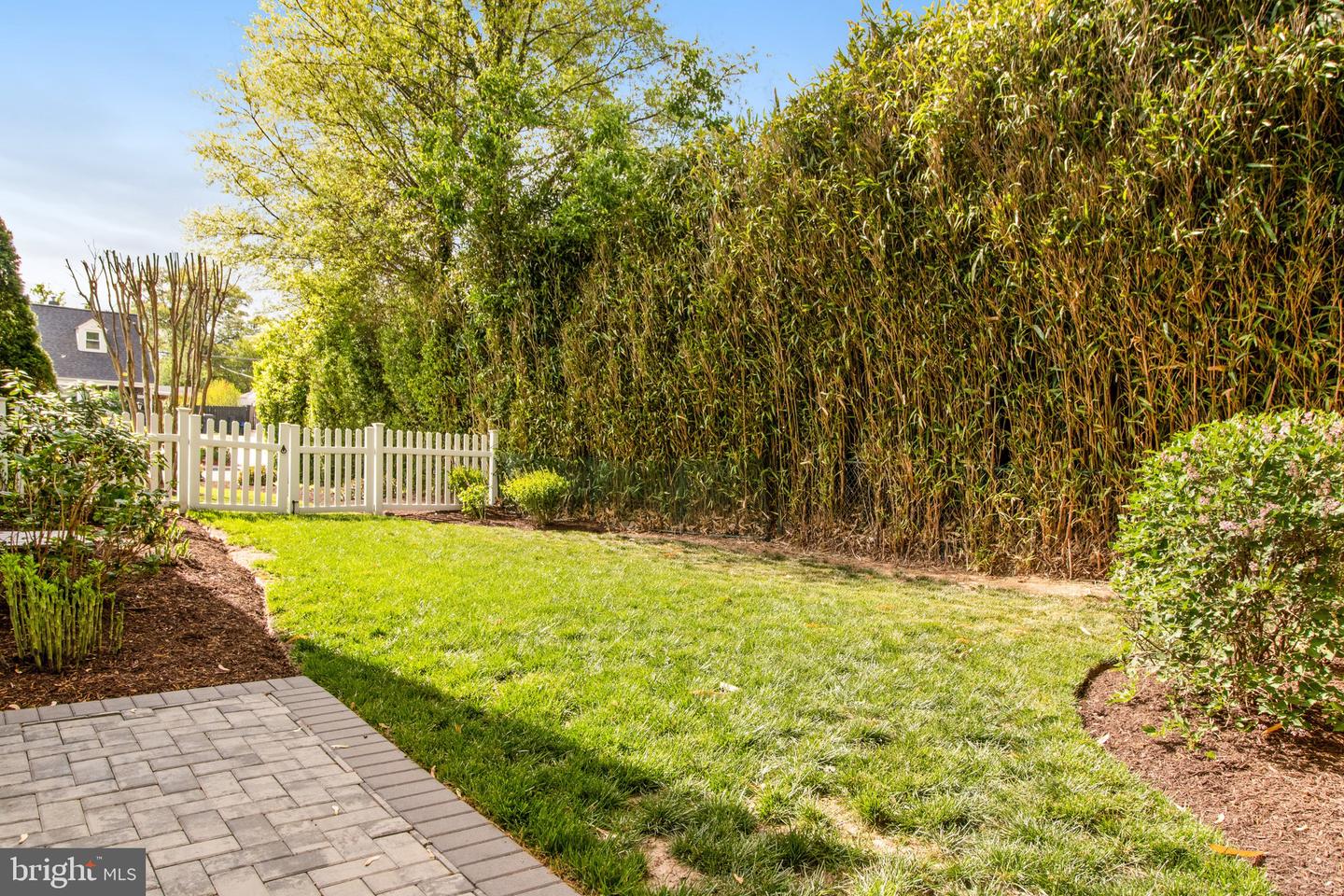 Backyard lawn bordered by tall bamboo, with a white picket gate and stone patio.