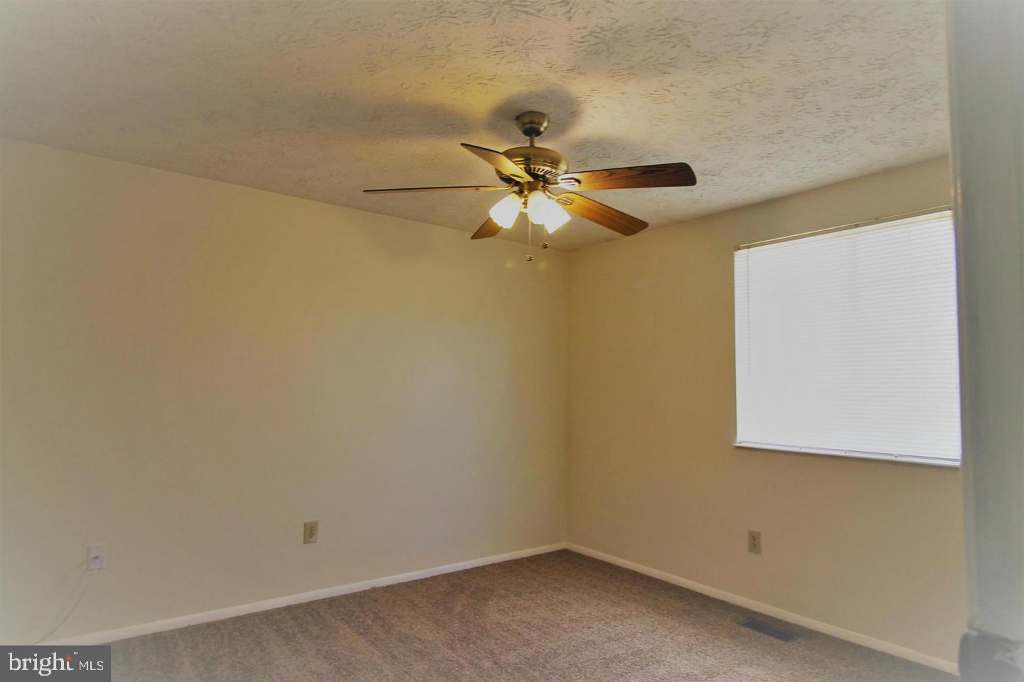 Empty carpeted bedroom with a lit ceiling fan and a window covered by white blinds.