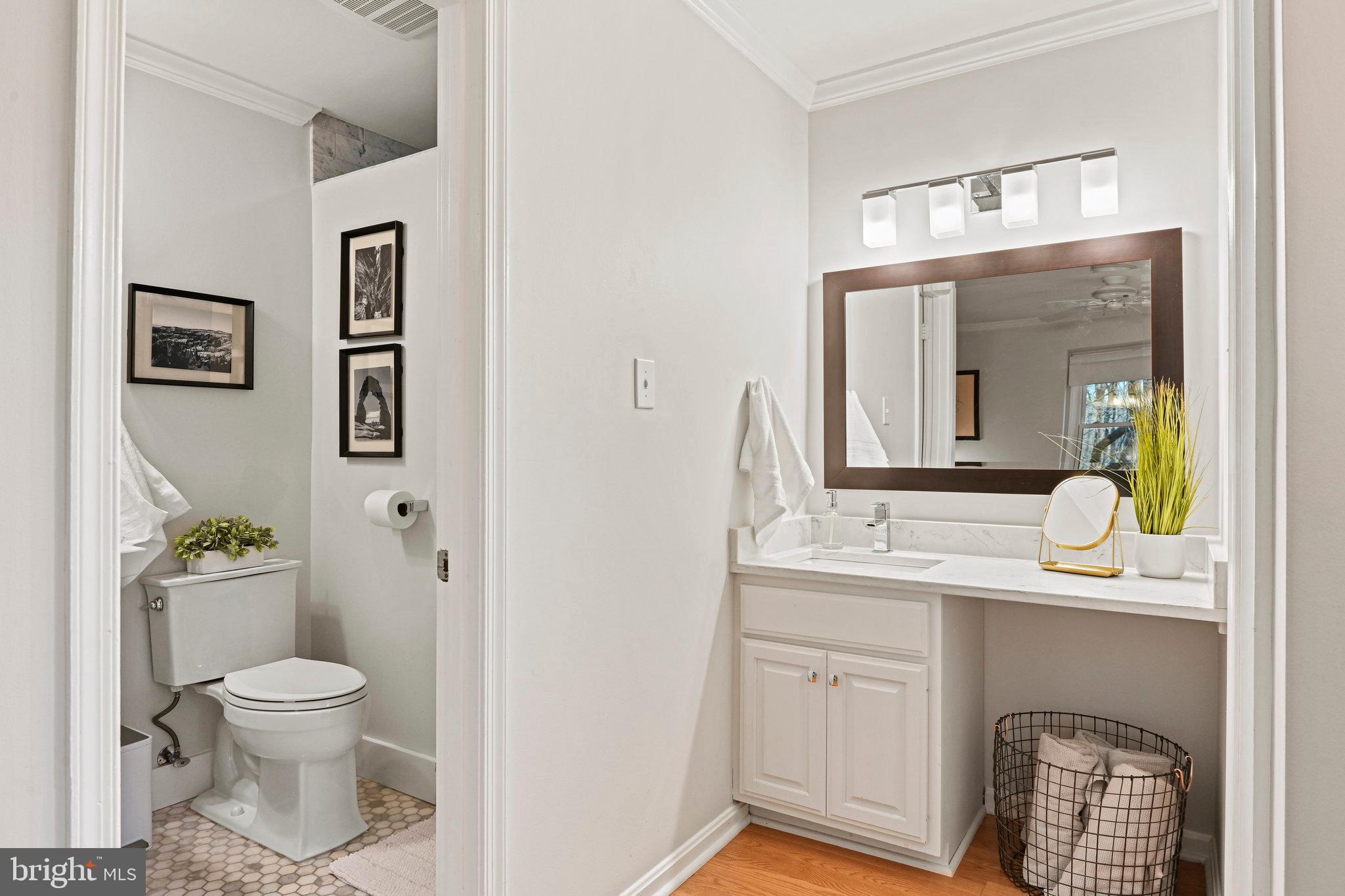 Bathroom with a white vanity and large mirror beside a separate toilet alcove.