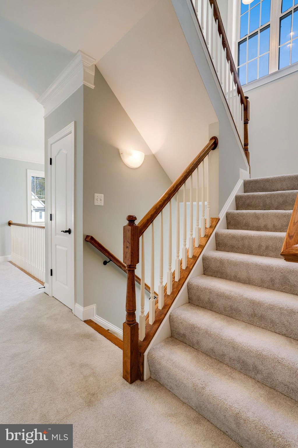 Carpeted staircase with a dark wood handrail, white balusters, and a tall multi-pane window.