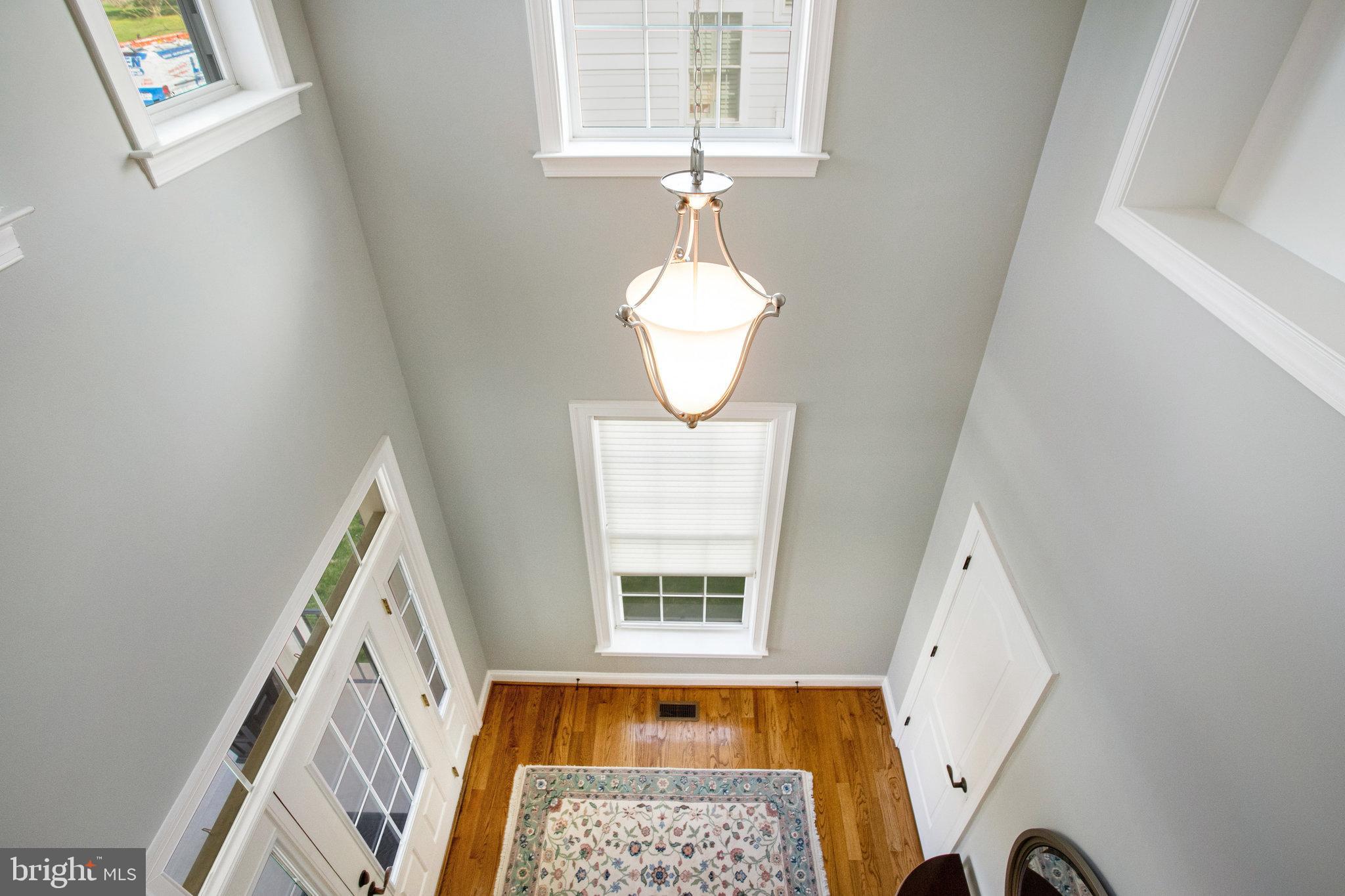Two-story entry foyer with a chandelier, tall windows, hardwood floors, and a patterned rug.