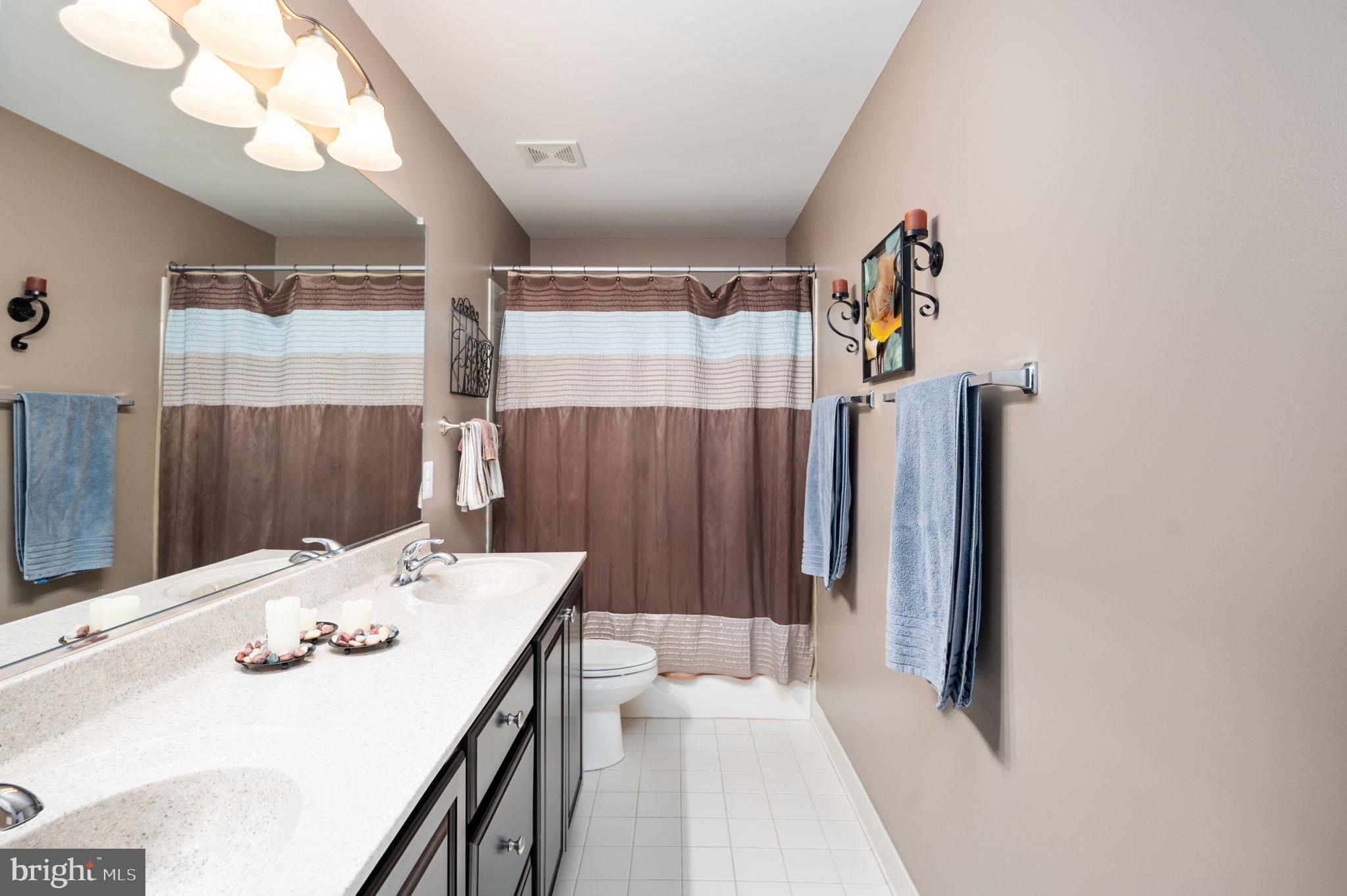 Bathroom with a long double-sink vanity, large mirror, and brown-and-white shower curtain.