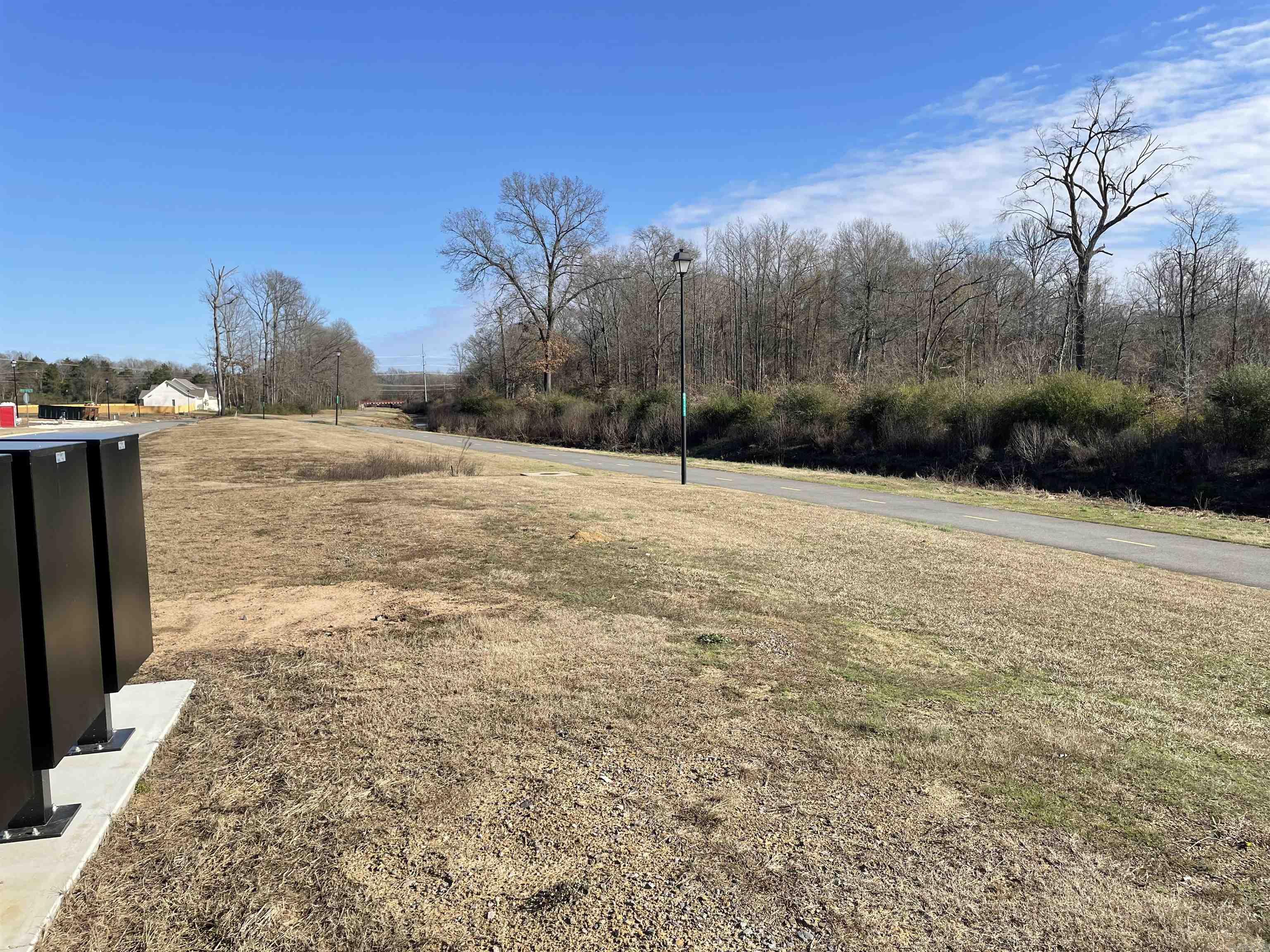 155 Magnolia Springs Drive