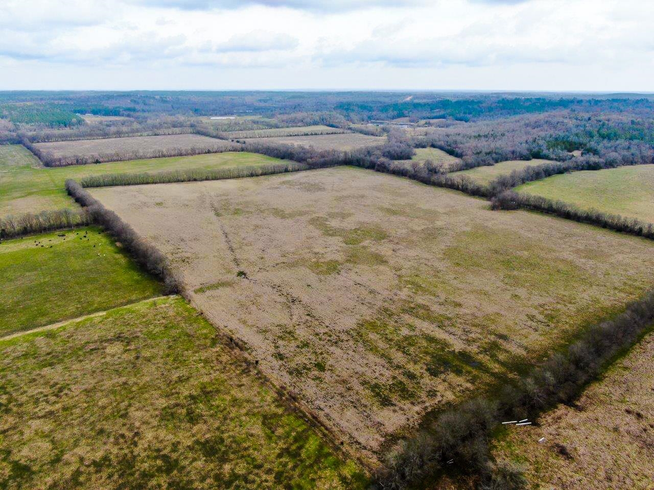 218 Mills Ferry Road