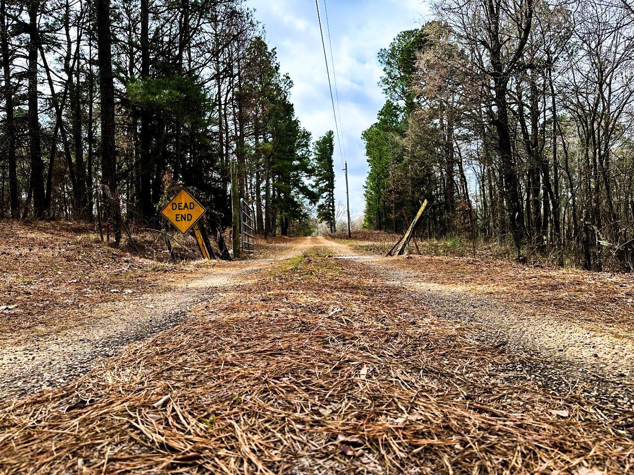 218 Mills Ferry Road