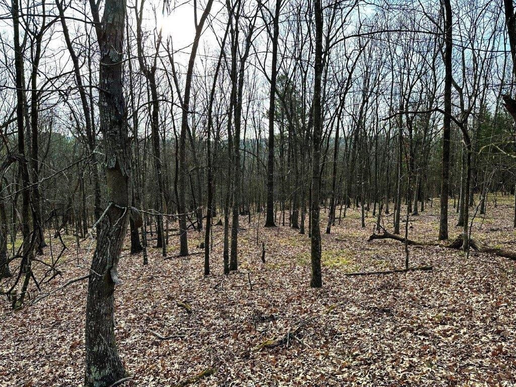 218 Mills Ferry Road