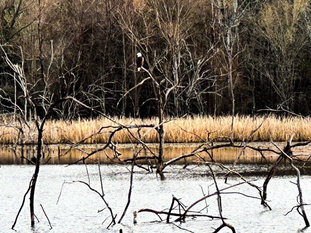 218 Mills Ferry Road