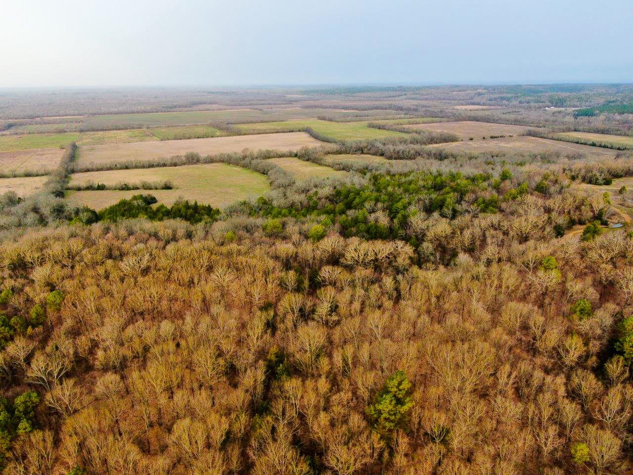 218 Mills Ferry Road