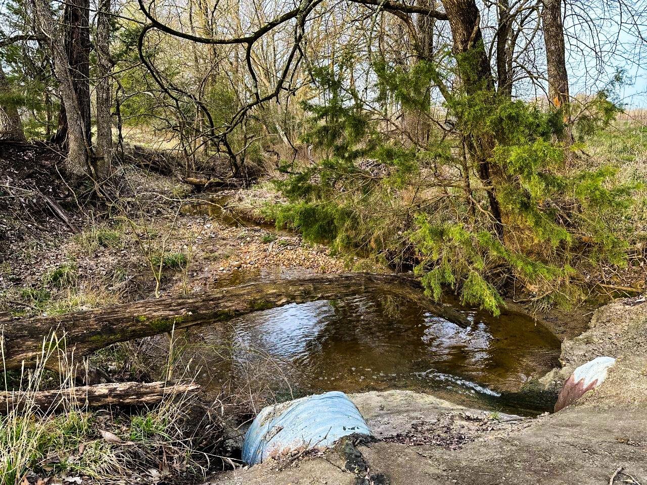 218 Mills Ferry Road